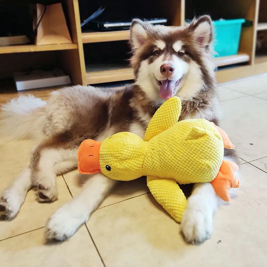 ChewPal CuddleBuddy – Plush Squeaky Toy for Happy, Healthy Pets